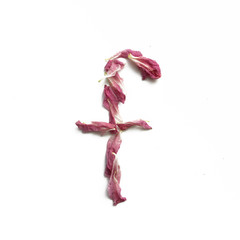 Alphabet made of peony petals. Letter f, layout for design.
