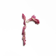 Alphabet made of peony petals. Letter r, layout for design.