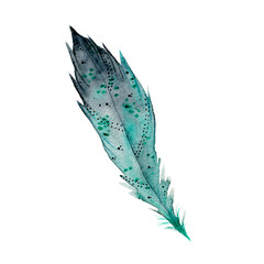 Watercolor feather hand-drawn on paper. Delicate watercolor illustration. Boho