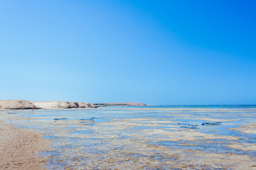 Red Sea coast in Egypt, Sharm el sheikh