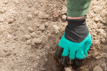 A man develops land for planting in a greenhouse with a work glove