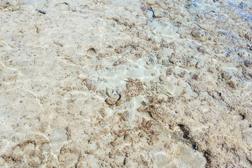 Red Sea coast in Egypt, Sharm el sheikh