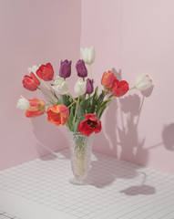 Bouquet of colored tulips on a checkered pink background. Concept template nature blog, social media, flowers concept. Conceptual art minimalistic photography. Copy space