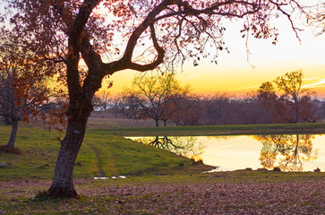 Naklejka premium Beautiful forest landscape in autumn with a lake at sunset