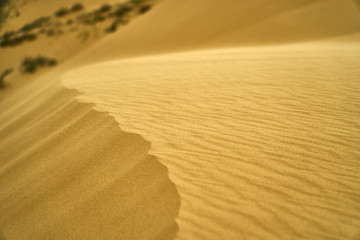 Yellow desert. Sand dunes. Blue sky and white clouds. Birds at sunset. Mountains of sand. The multi-colored sky. Feather clouds.