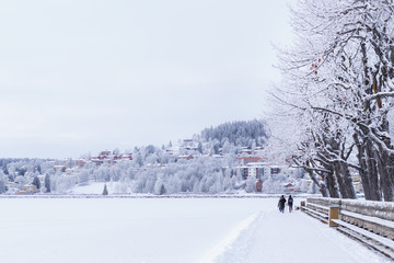 Winter in Östersund: View of the island of Frösön and Badhusparken Park - 352983367