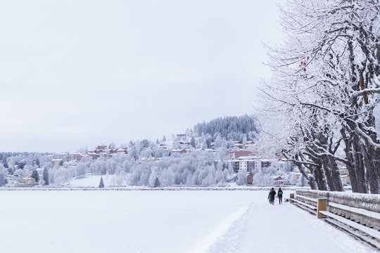 Winter in &Ouml;stersund: View of the island of Fr&ouml;s&ouml;n and Badhusparken Park