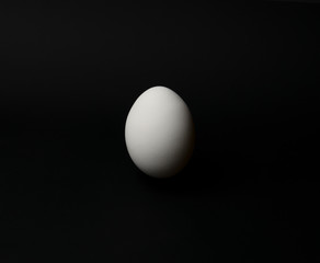 chicken egg on a black background with a space for text