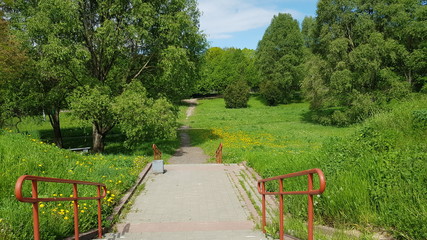 The path to the park. Sunny weather in spring. Beautiful nature