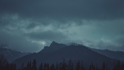 Foggy evening in the Tatra mountains. Dark and Misty Wood Landscapes.