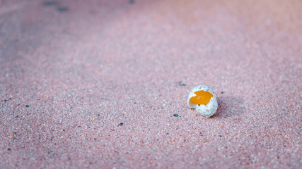 Fototapeta na wymiar Tiny cracked speckled egg with yolk inside