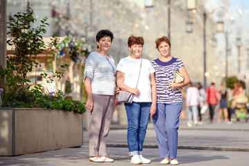 Mature Female Friends Socializing In Backyard Together.