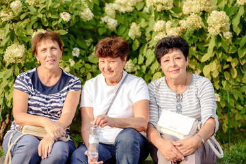 Mature Female Friends Socializing In Backyard Together.