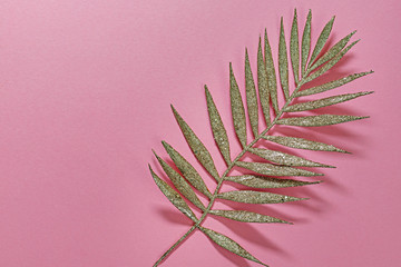 Gold palm twig on grungy pink background