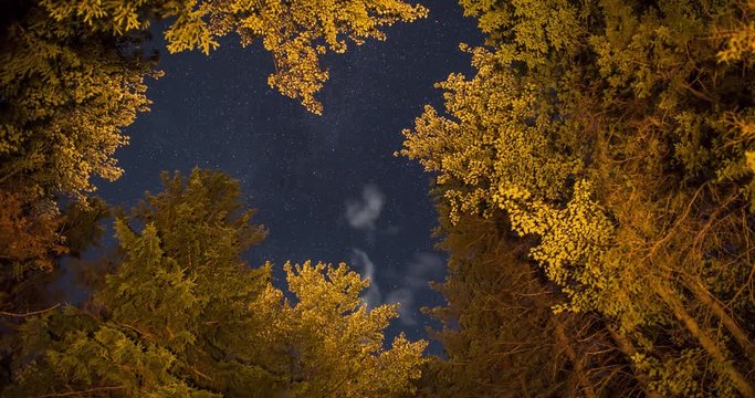 Time lapse of stars through trees lit up by campfire. Includes 2 shots - 1 wider shot in New Hampshire, USA, and 1 tighter shot in Ontario, Canada.