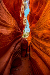 narrow slot canyon 