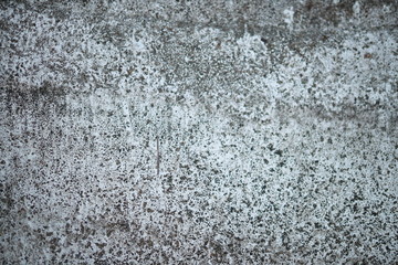 White old cement wall concrete backgrounds textured. Abstract vintage texture. Background from cracks, breaks, stains. Grunge cracks, damage
