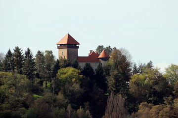 Tall dense forest trees hiding and protecting old medieval town castle with newly renovated roof on top of small hill on clear blue sky background