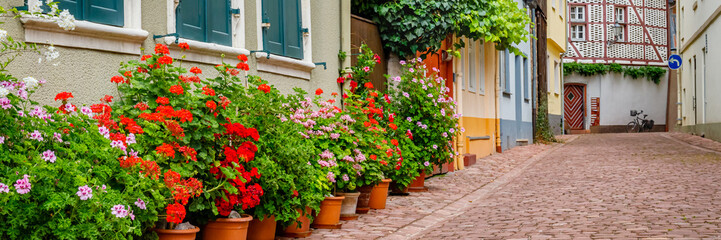 Fototapeta na wymiar Many flowers in pots near house. Cobblestone pavement on narrow medieval street. Flower power blossom in village. Traditional floral decoration of building in German Baden Wine Route, banner