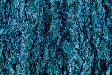 Blue aquamarine organic texture and backgroung, bark surface in retro style