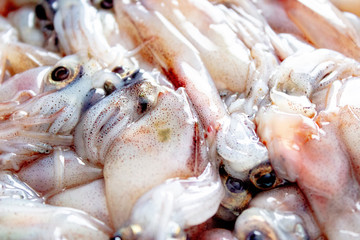 生のホタルイカのアップ