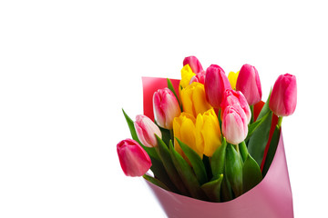 tulip flowers bouquet, close-up view, isolated on white