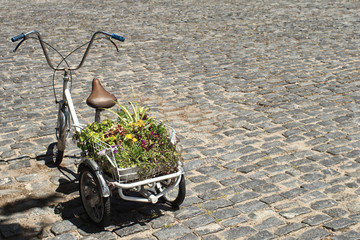 Bicycle to distribute plants and flowers