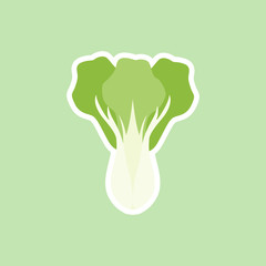 bok choi, also pak-choi cabbage vector illustration in cartoon flat style isolated on color background. Chinese kale - obrazy, fototapety, plakaty