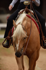 Summer western horse show