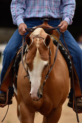Summer western horse show