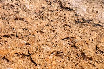 sandstone texture closeup. benagil beach in Portugal.