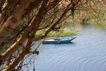 Naklejka na ściany i meble Aswan Salouga and Ghazala protected area with water and small boats in the middle of green trees and water
