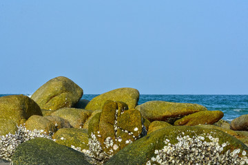 
Large stone
A group of seaside
Naturally beautiful