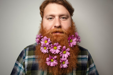 A man with a beautiful red hair and a red beard on the gray background. A bearded man with a decorated beard for the spring and summer holiday. Flower in the beard.
