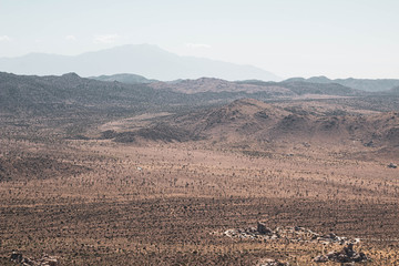 Joshua Tree National Park Reopens