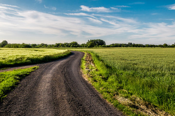 Ein idyllischer Feldweg an einem Sommertag.