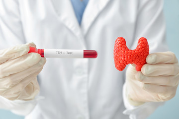 Doctor with model of thyroid gland and blood sample in test tube, closeup
