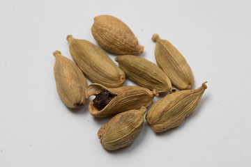 Cardamom