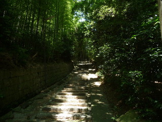 竹林に囲まれた、木漏れ日が射す階段