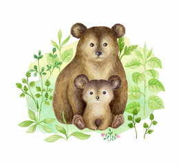 Cute bear and baby. Hand painted watercolor illustration isolated on a white background.