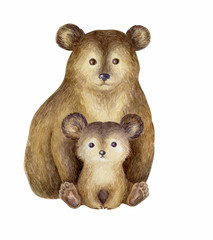 Cute bear and baby. Hand painted watercolor illustration isolated on a white background.