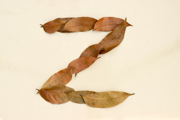 Autumn leaf letter Z Background image. Natural forest leaf alphabet Background