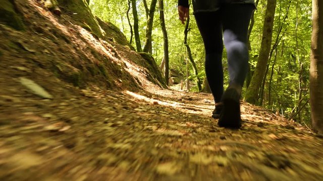 A Young Woman Hiking in the Palatinate Forest, Germany