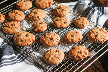 Homemade Chocolate Chip Cookies