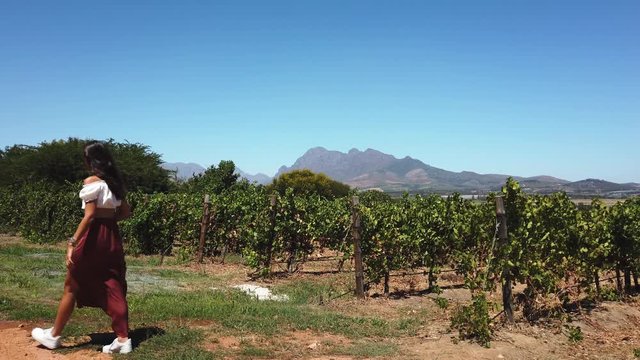 A girl walks on the outside of the rows of a vineyard in white sneakers and with mountains in the distance.