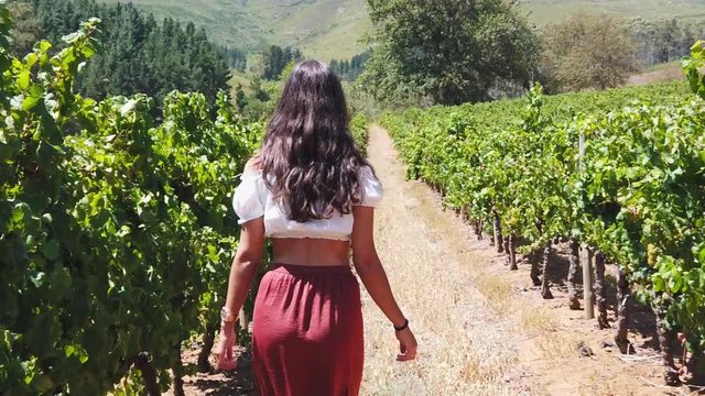 A girl runs her hand through her hair while walking through a beautiful vineyard full of green leafy plants situated in forested hills.