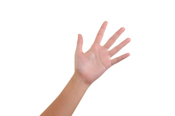 Obraz premium Hand shown five finger symbol on isolated white background