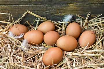 Many eggs in the nest are made from straw. Food obtained from chickens on farms. Healthy products from farmers. Products from rural areas. © aekkawin