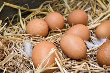 Many eggs in the nest are made from straw. Food obtained from chickens on farms. Healthy products from farmers. Products from rural areas.