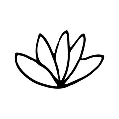 Single hand drawn ornamental flower lotus. Doodle vector illustration. Isolated on white background